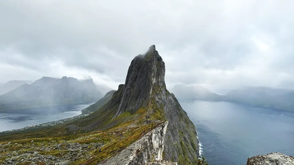 hesten senja noruega