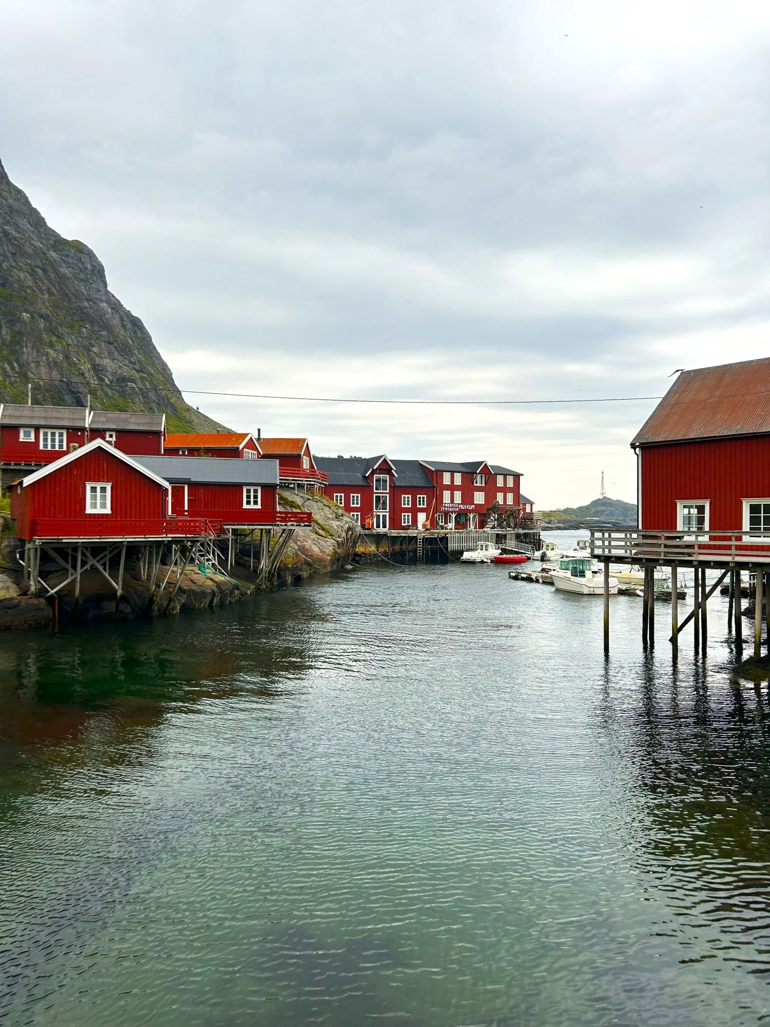 Traslado al puerto de Bodø: cómo llegar y conexiones a Lofoten
