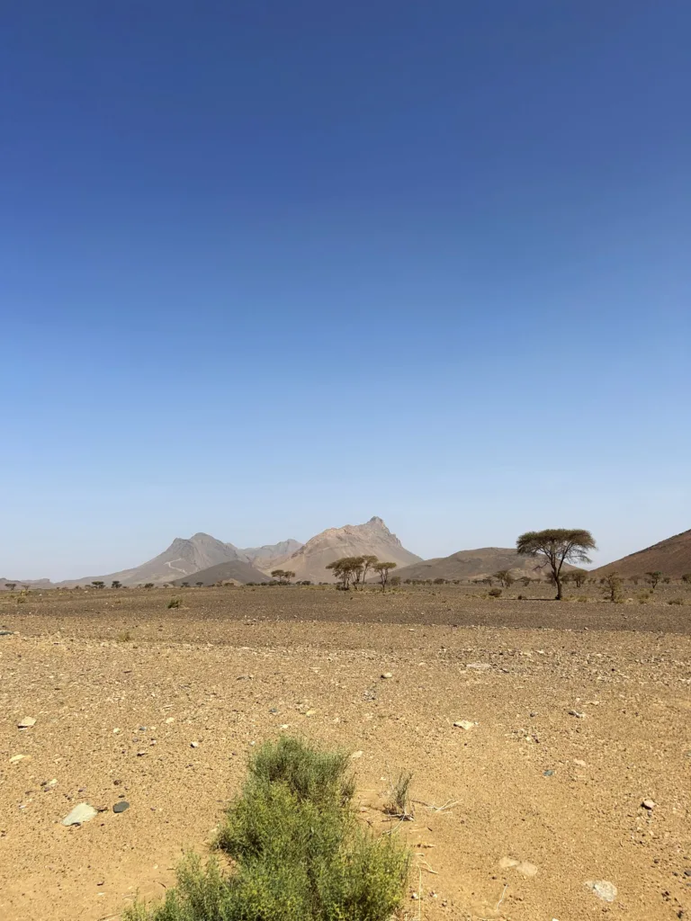Carretera a Zagora con paisajes áridos de Marruecos