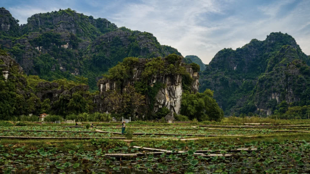 Arrozales y paisaje kárstico en Ninh Binh con montañas y vegetación